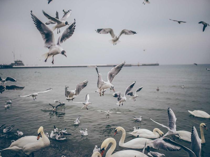 partners screenshot 1